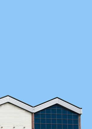 Construction DP Pro photo 5