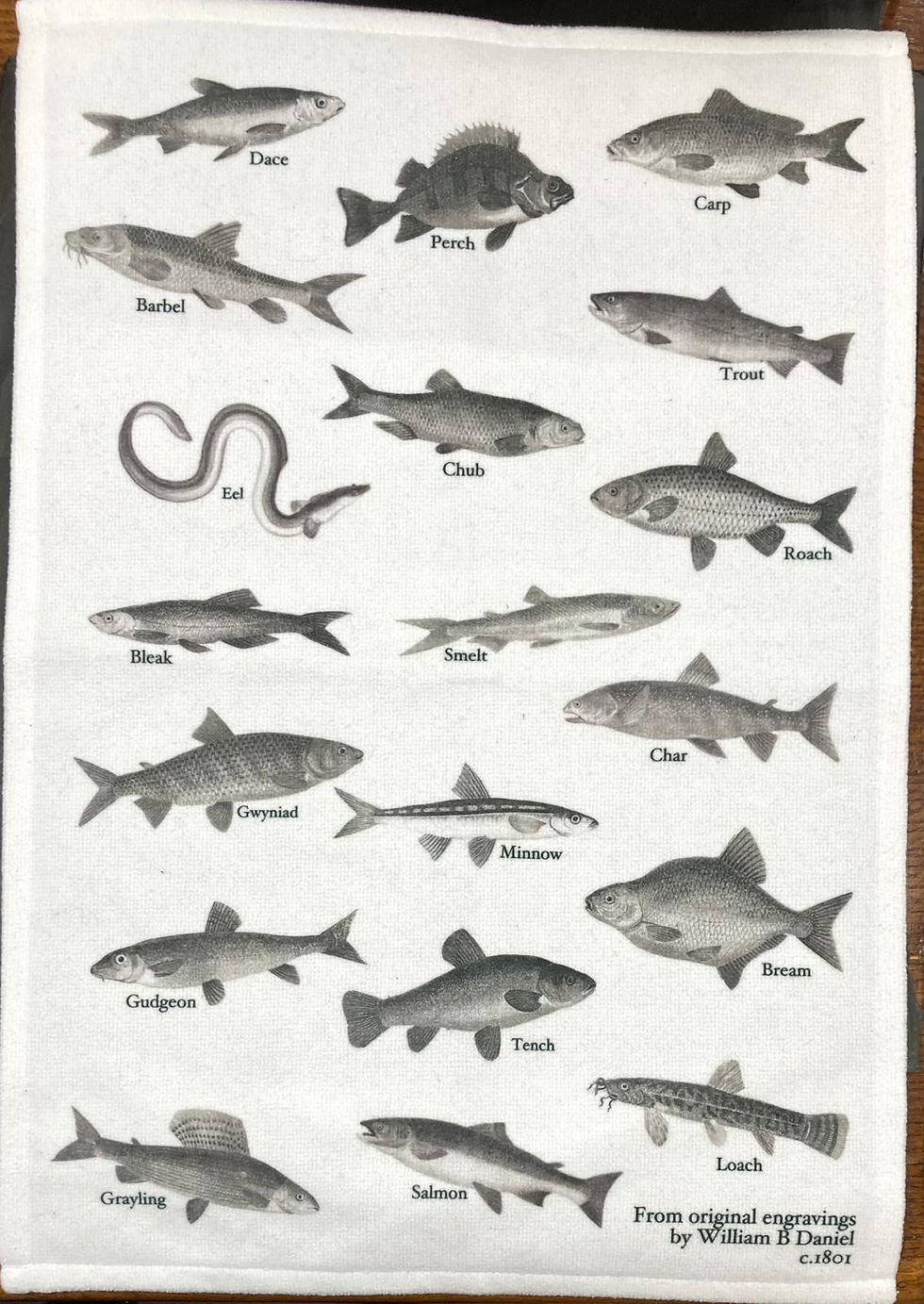 Fish Tea Towel