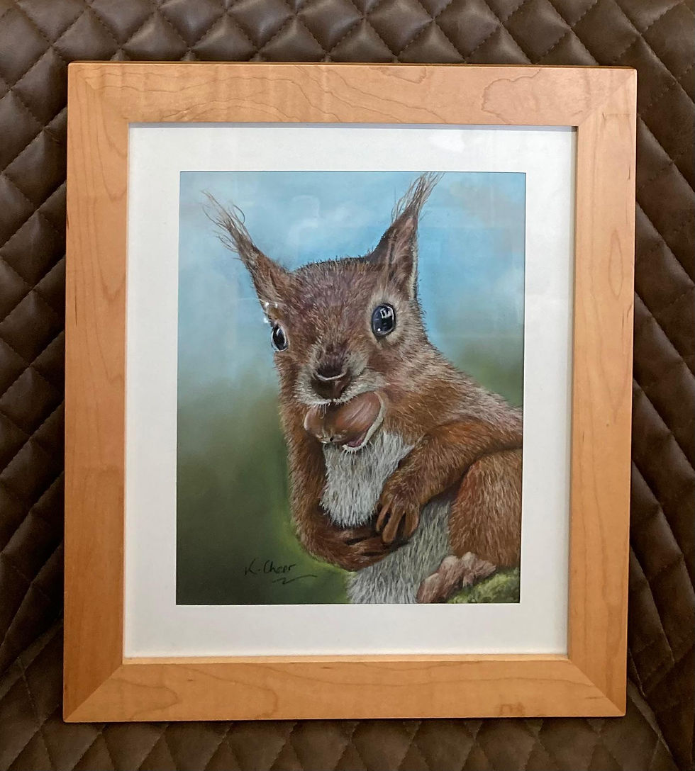 Framed Original Pastel Drawing - Red Squirrel