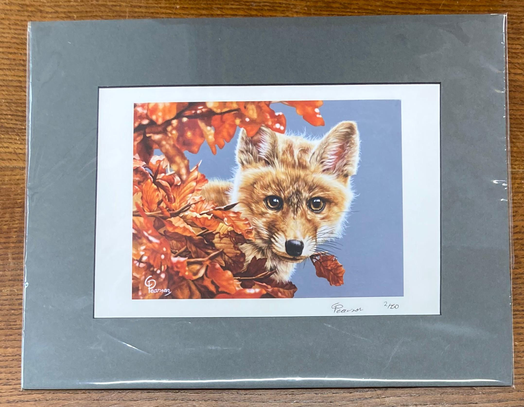 'Bright Eyes The Inquisitive Fox' Mounted Print