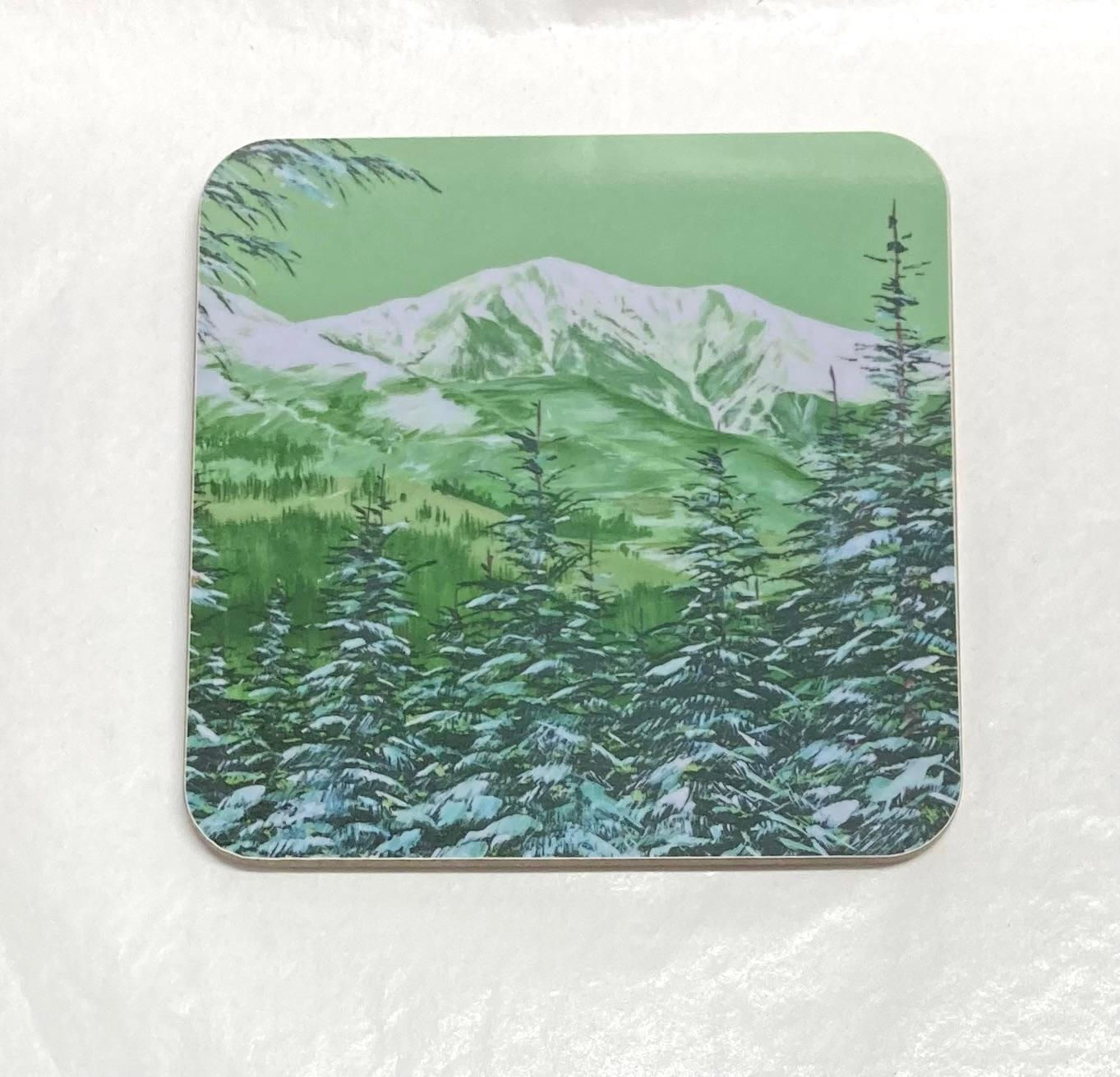 'Skiddaw Massif from Whinlatter' Coasters