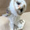 Thumbnail: 'Barn Brain' Fair Isle Baby Barn Owl No.2