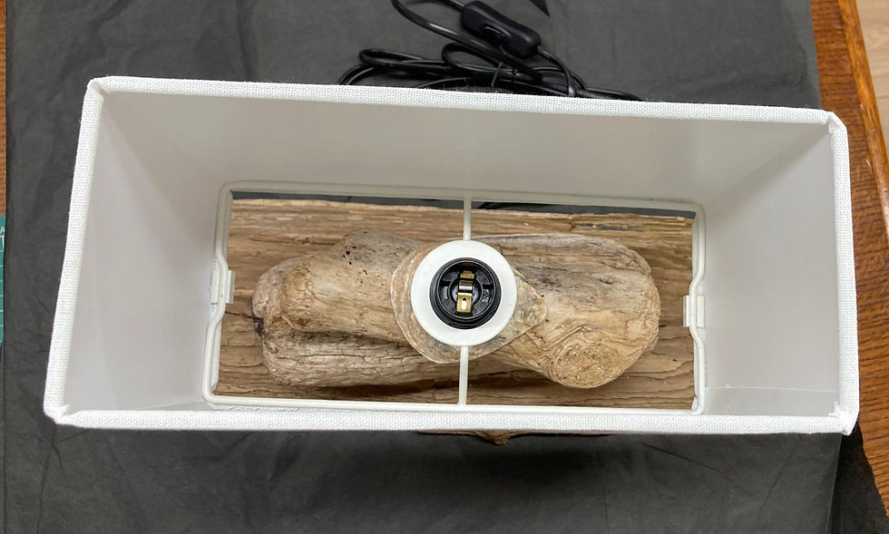 Thumbnail: Medium Driftwood Lamp AS018