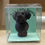 Thumbnail: Black Labrador Dog