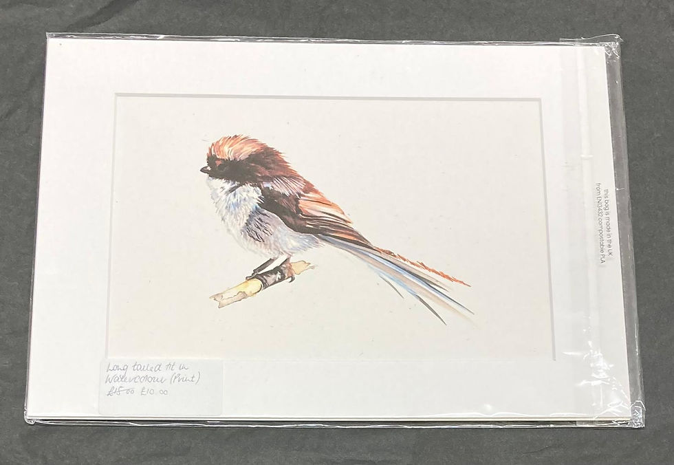 Long Tailed Tit Watercolour Print