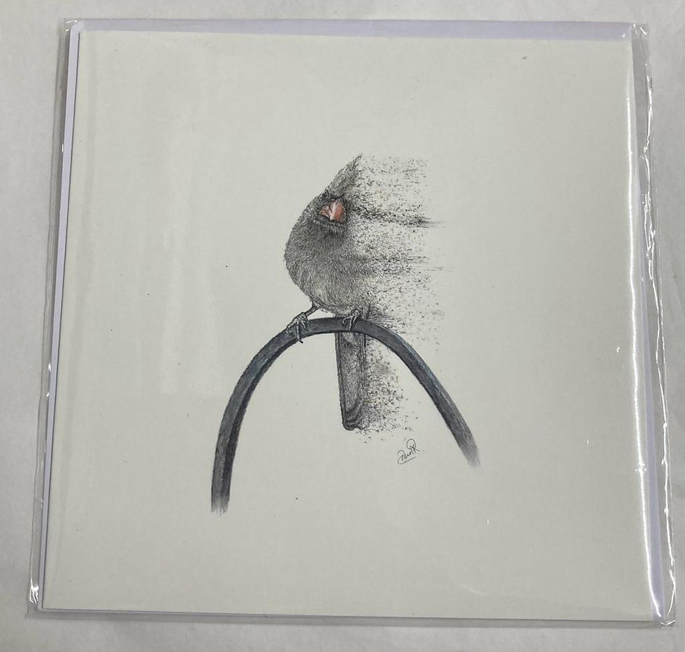 'Vanishing Beauty' Bird Greetings Card