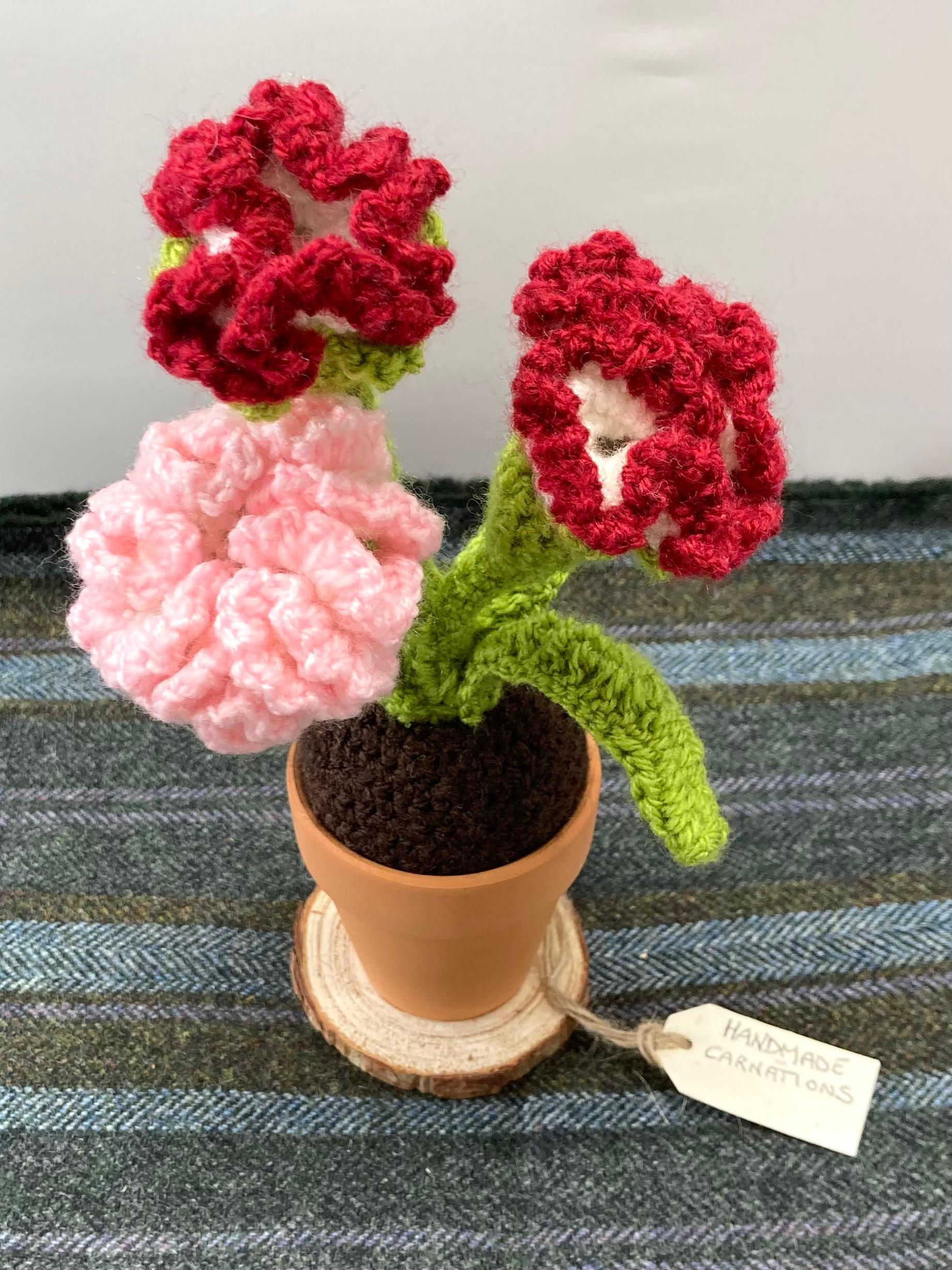 Crocheted Carnations
