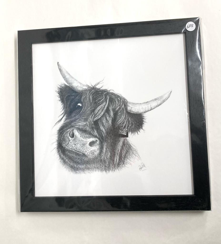 Framed 'Marvin The Highland Cow' Print CAD046