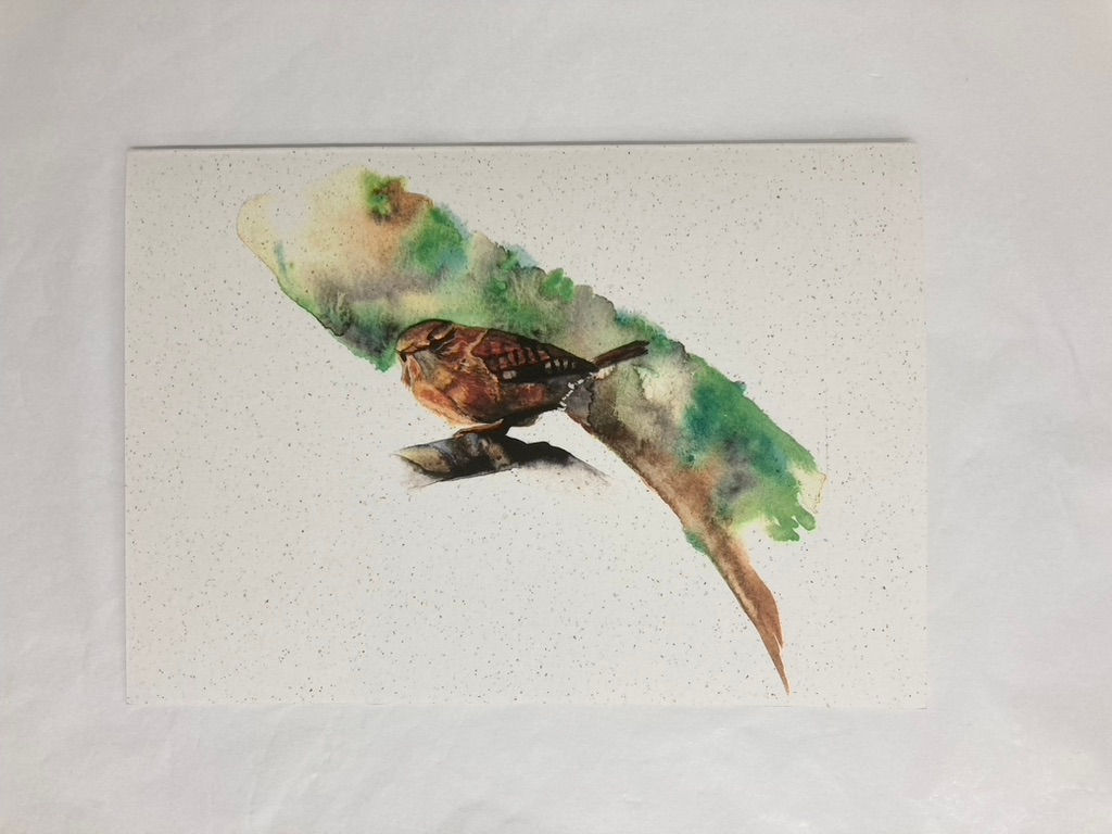 Large Greetings Card 'Wren'