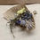 Thumbnail: Mini Dried Flower Bouquet 1