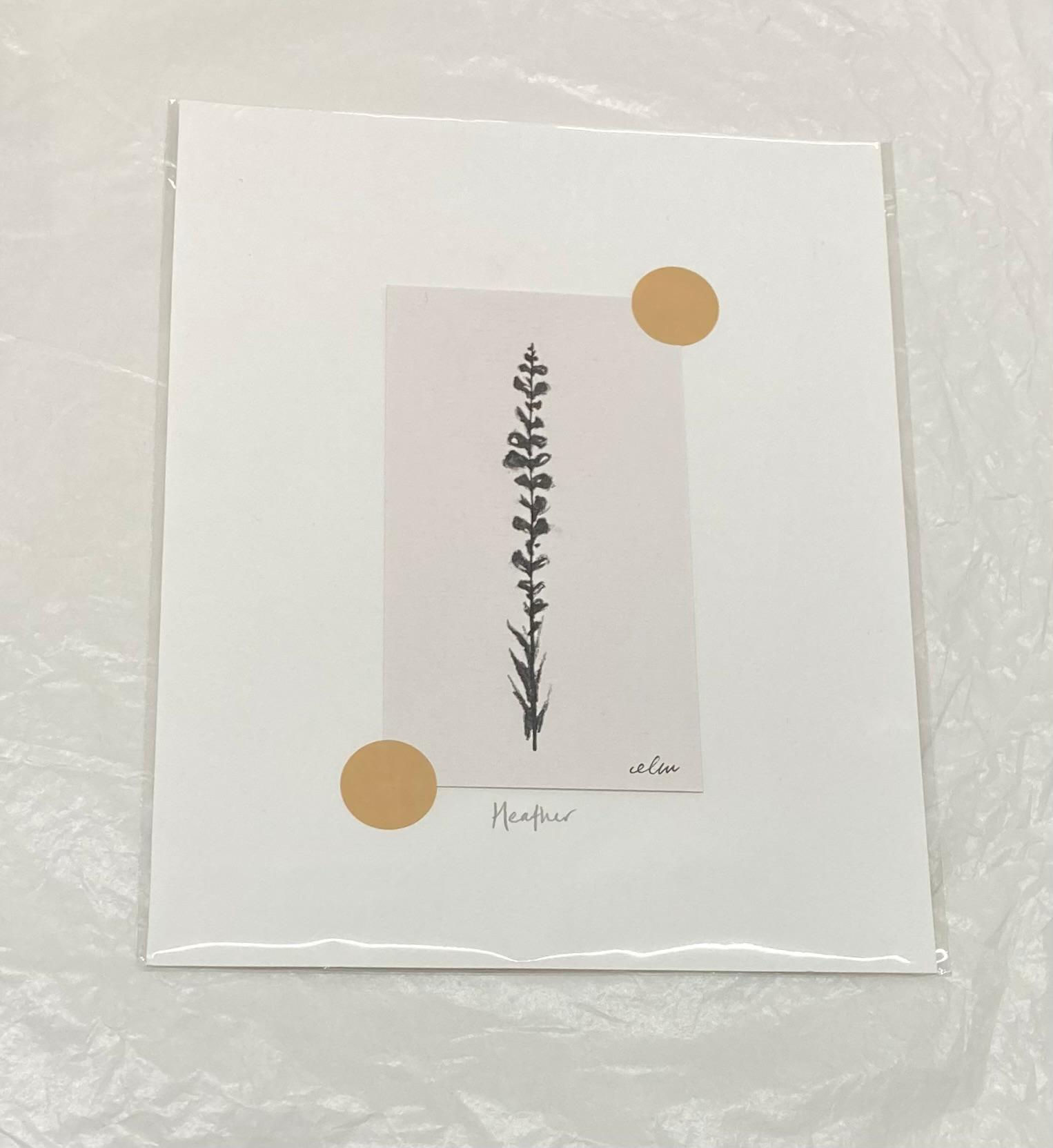 'Heather' Charcoal and Ink Drawing