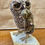 Thumbnail: 'Dressed to Kill and the Eponymous Vole' Fair Isle Knitted Little Owl