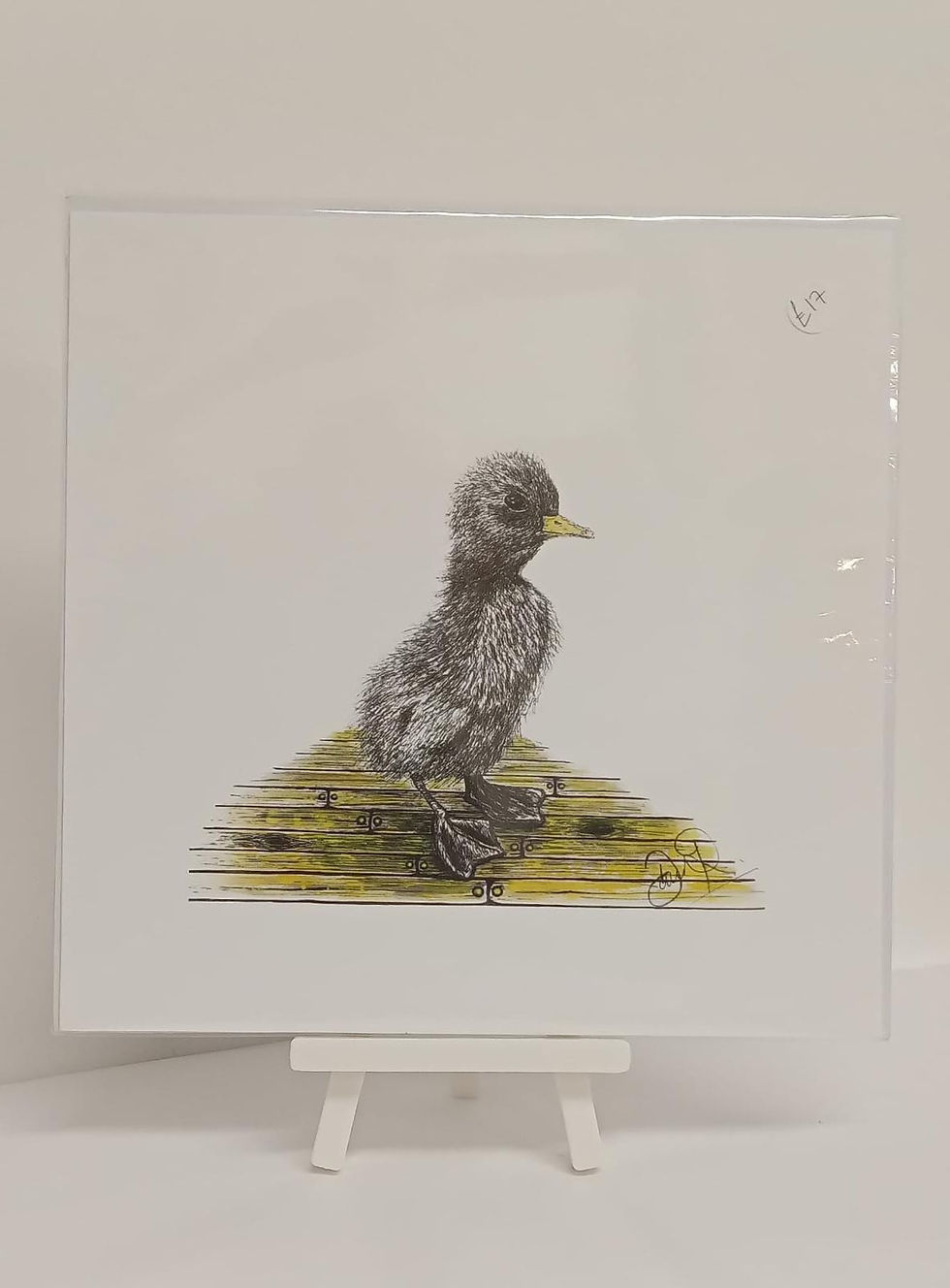 Duckling Treading the Boards Print CBD021