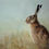 Thumbnail: 'Hare' Framed Print