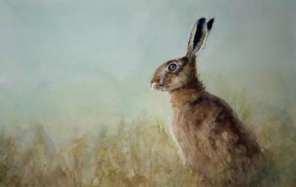 'Hare' Framed Print