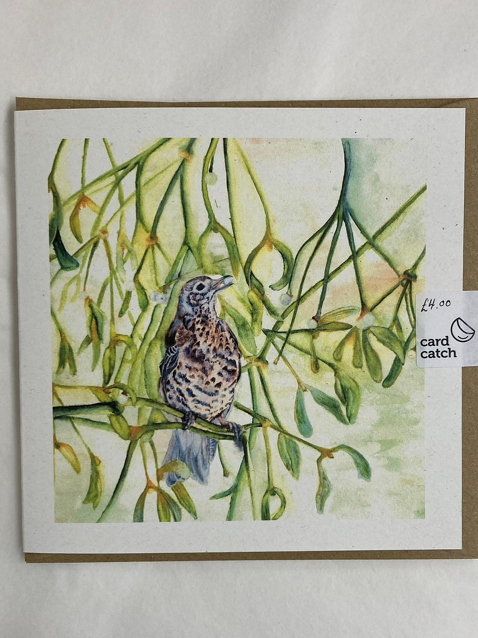 'Mistlethrush' Greetings Card