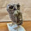 Thumbnail: 'Dressed to Kill and the Eponymous Vole' Fair Isle Knitted Little Owl