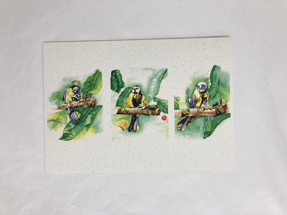 Large Greetings Card 'Bluetit Trio'