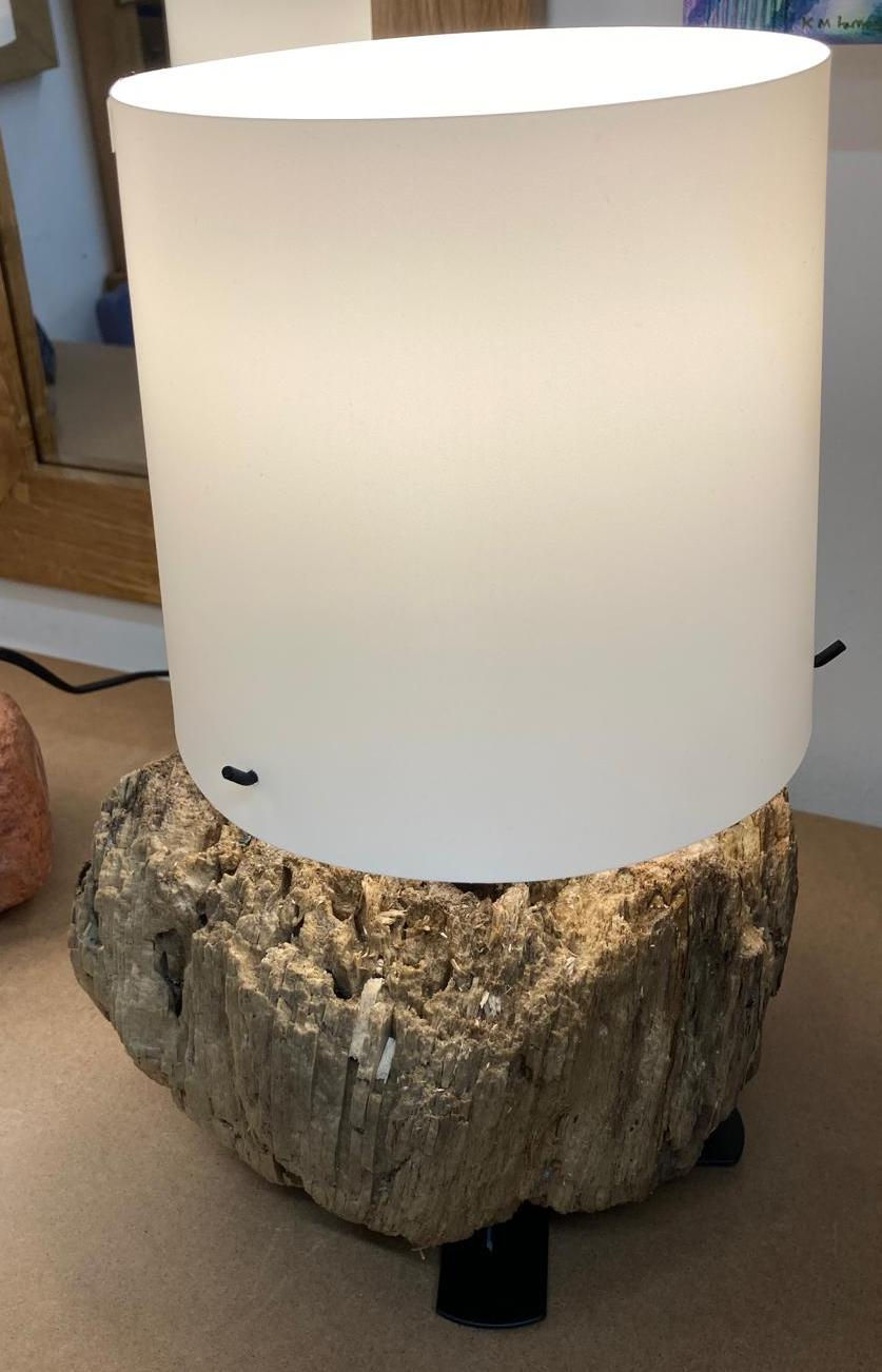 Thumbnail: Small Driftwood Lamp #2