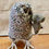 Thumbnail: 'Dressed to Kill and the Eponymous Vole' Fair Isle Knitted Little Owl