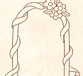 Flower arch image_edited_edited_edited_e