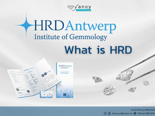 What is HRD?