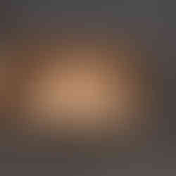 Preparing whole wheat bread for 2nd rise