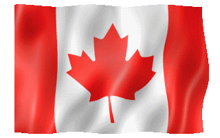 canada-flag-animated-gif-23.gif