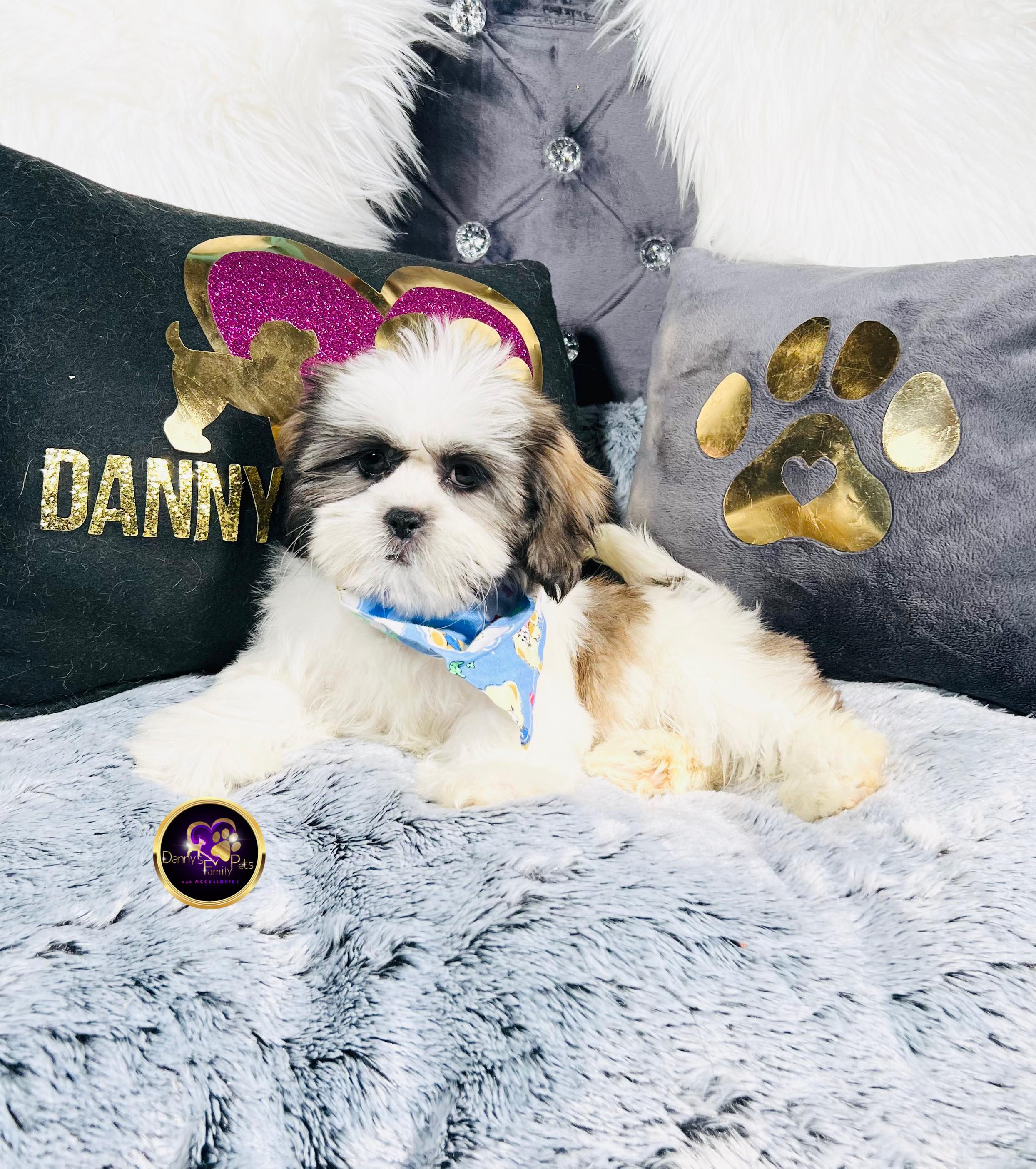 Fritz-Male | Malshi