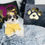 Thumbnail: Allyson-Female  |Shih Tzu