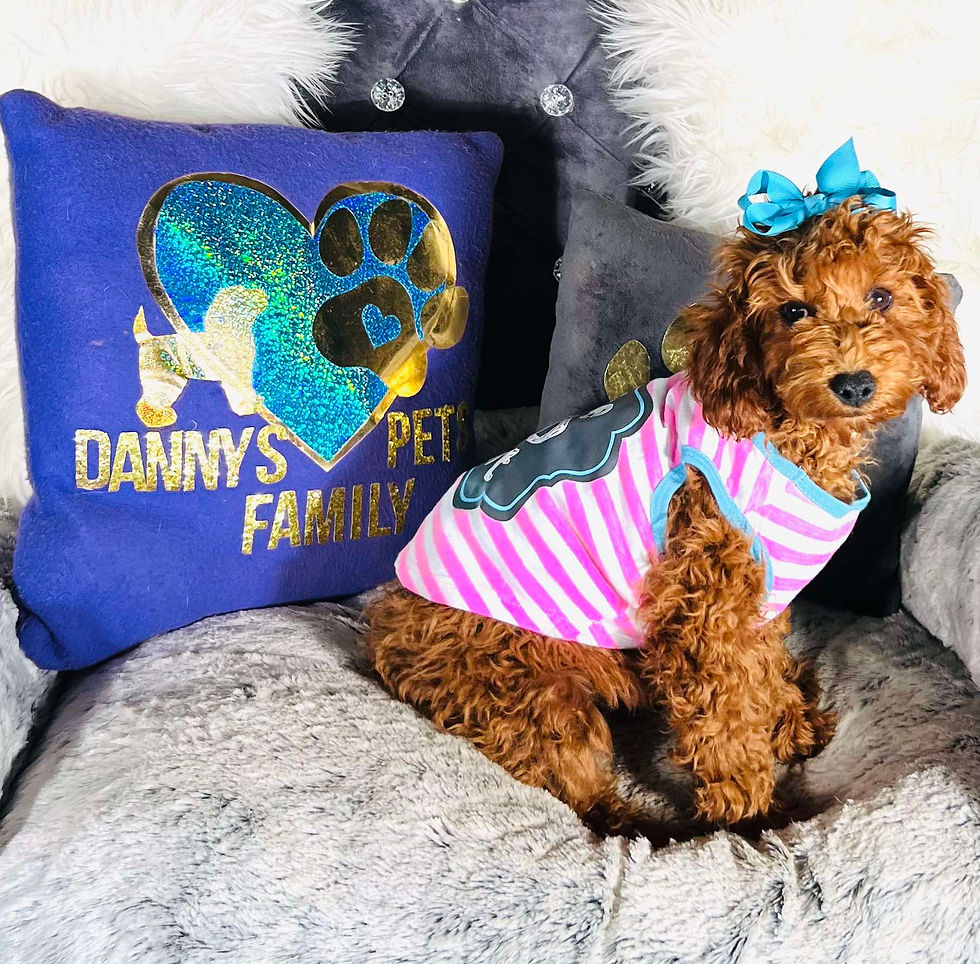 Thumbnail: Sugar Plum