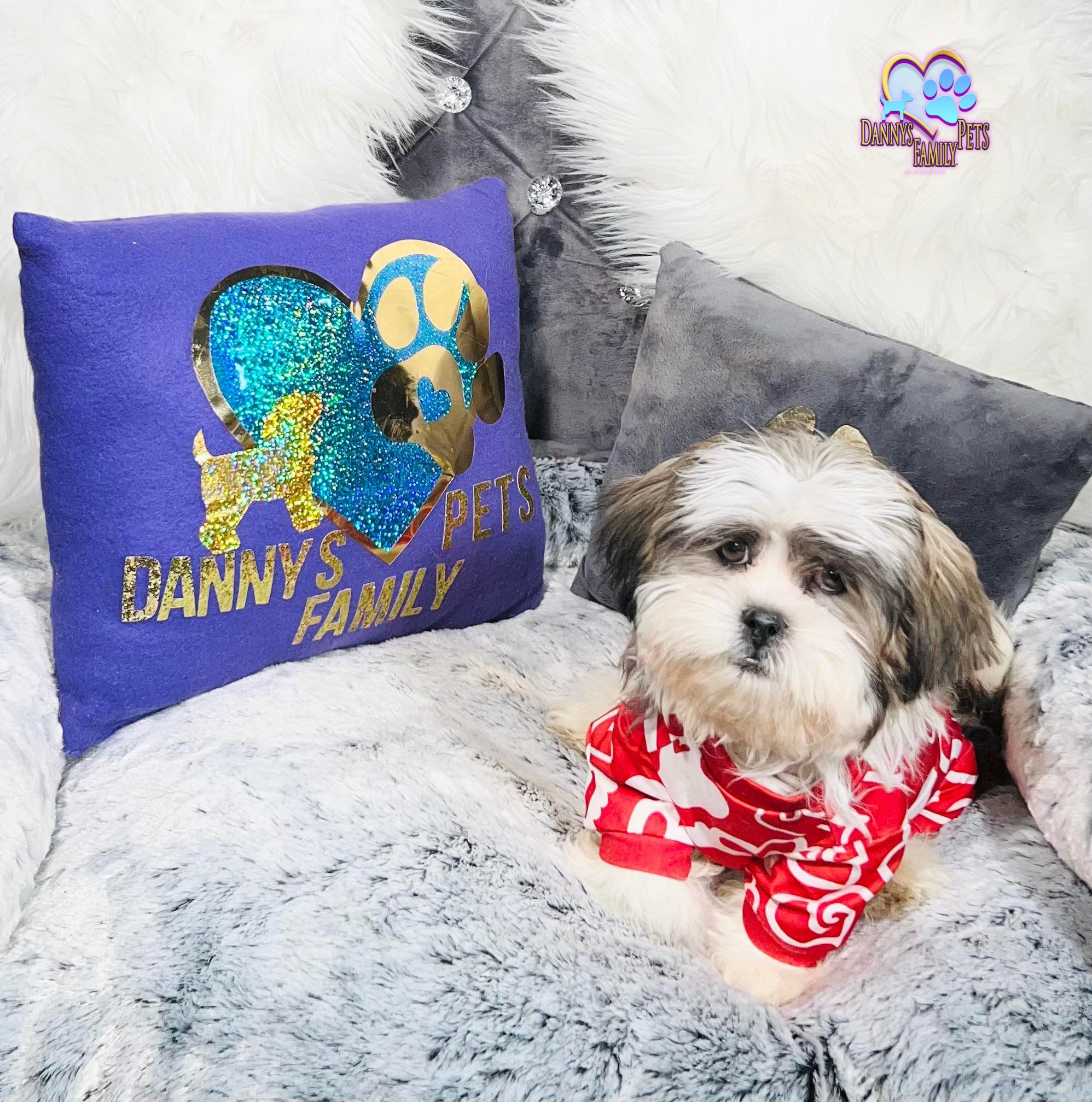 Zane-Male | Shichon