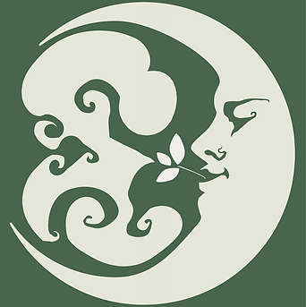 Cosmic Cures Logo