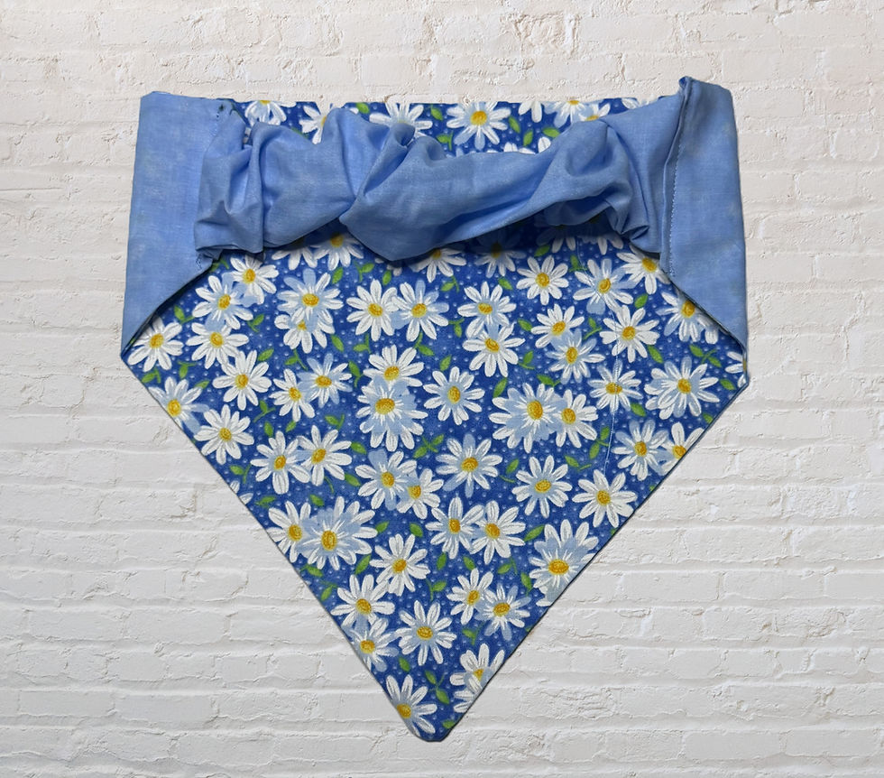 Thumbnail: Reversible Blue with White Daisy Flower Bandana