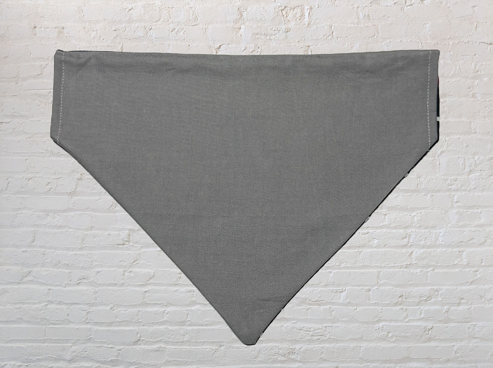 Thumbnail: Reversible Paw Prints and Bones Bandana