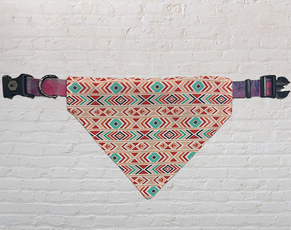 Thumbnail: Reversible Teal Western Bandana