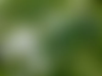 IKI/OTO Webサイトを立ち上げました