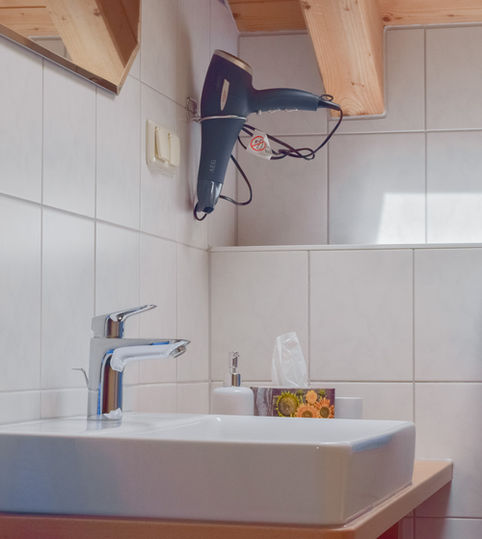 Sonnenblume, Bio-Bauernhof Holzer, Allgäu