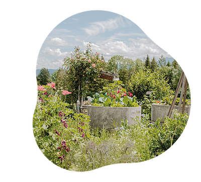 bilder_form_sommer_24-17.png