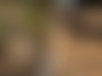 ''De wonderen zijn de wereld niet uit''