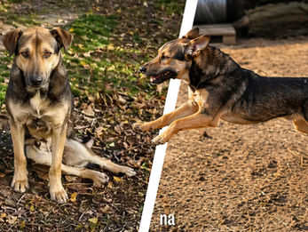 ''De wonderen zijn de wereld niet uit''