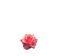 RQD0N.gif