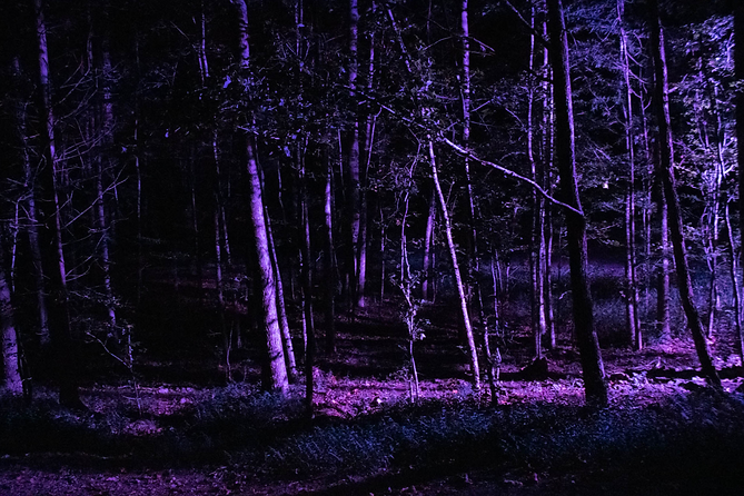 BTS_Luperca-268_edited.png