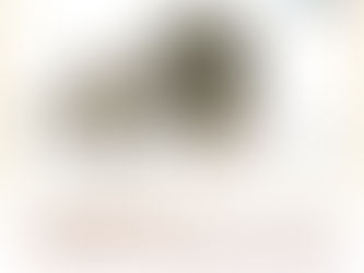 「日本国際水彩画会 秋季秀作ネット展2020」入選