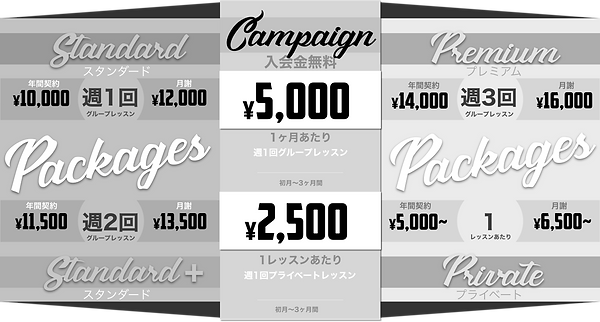 仙台市泉区英語レッスンFees