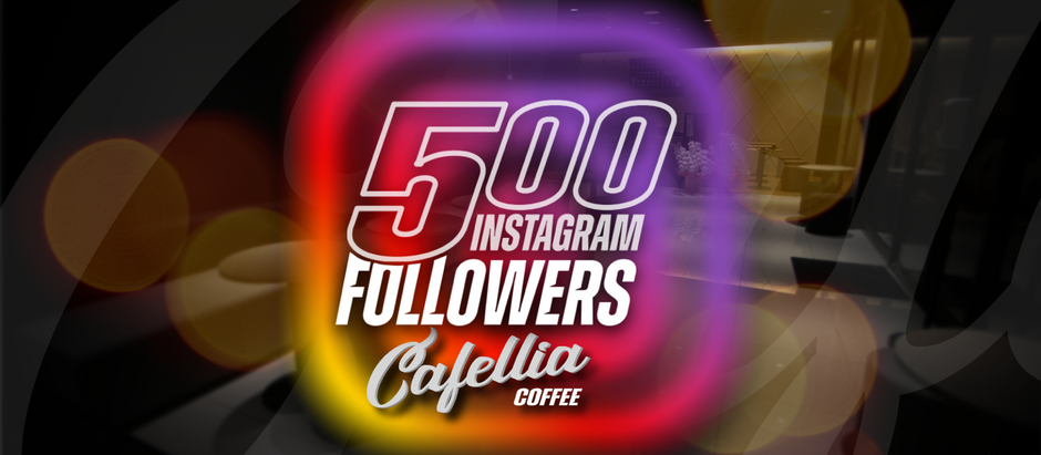 Cafellia フォロワー500人越え