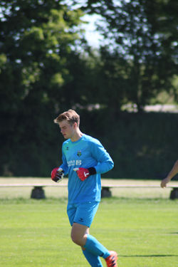 Michi Pfützner