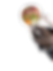 Hund frisst gesundes Hundefutter aus einem Napf nach erfolgreicher Ernärhungsberatung für Hunde von Michael Graf - Logo Aufgenapft - Michael Graf - Coach für Ernärhung von Hunden - Aufgenapft