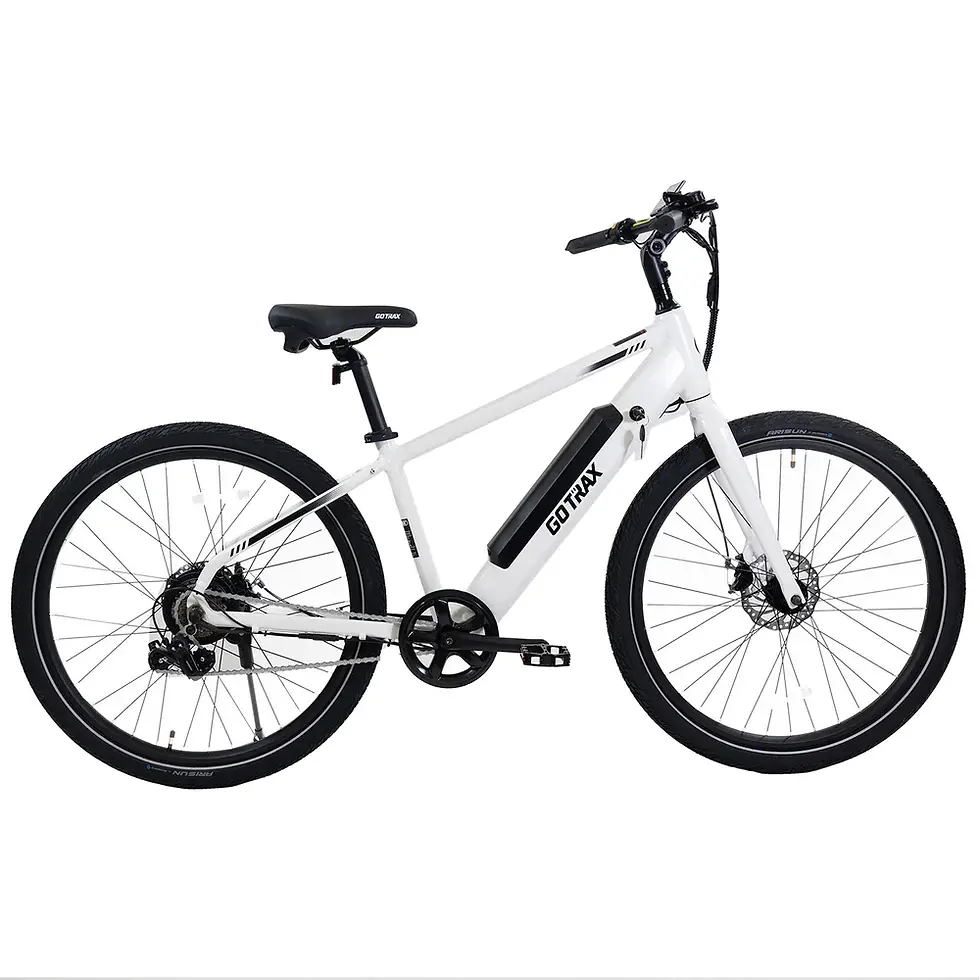Go Trax - CTI Electric Bike
