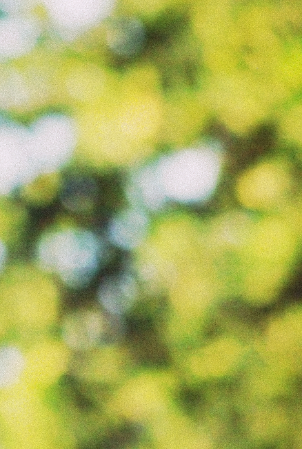 bg.png